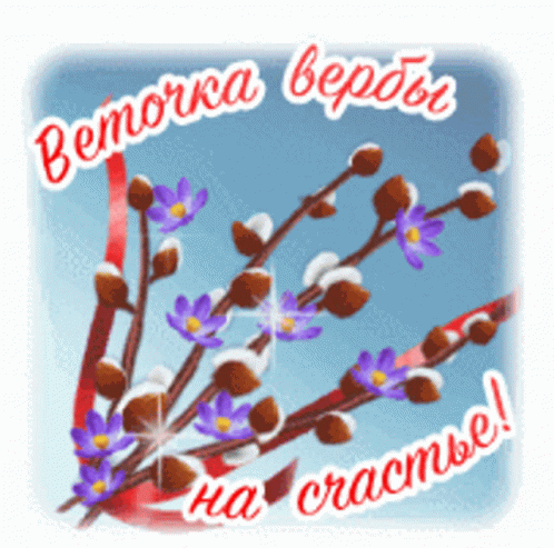 Веточка вербы на счастье