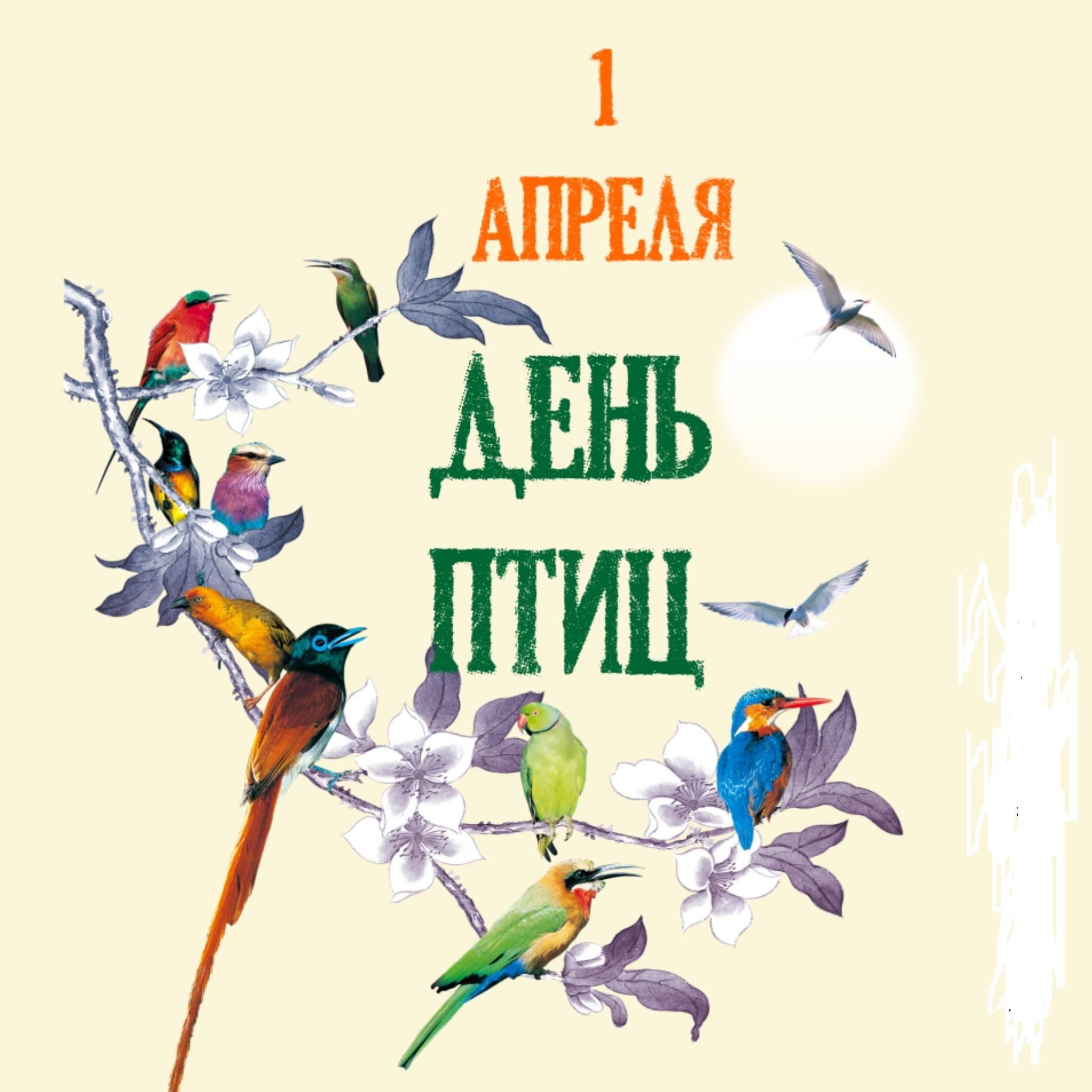 Пернатая столовая